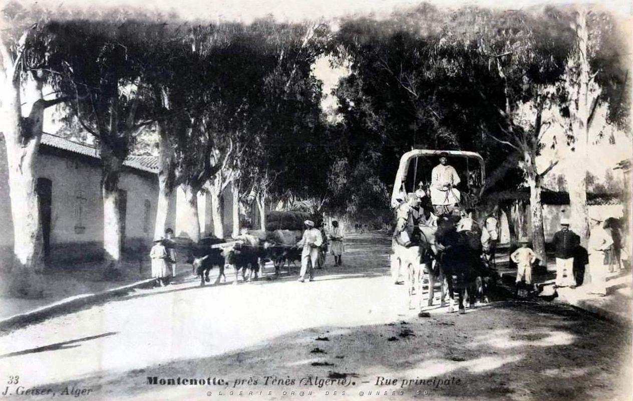 1537- Montenotte - Pres de Tenes - Rue principale.jpg
